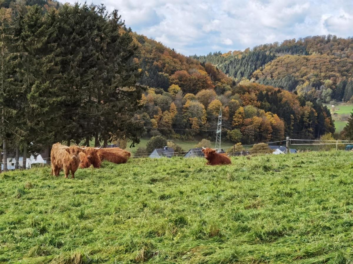 Ferienhaus Waldblick Hohenfels-Essingen 外观 照片