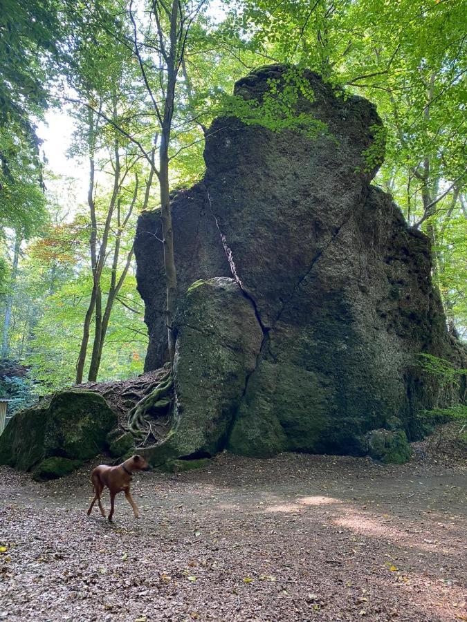 Ferienhaus Waldblick Hohenfels-Essingen 外观 照片